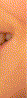 oakhouse001006.gif
